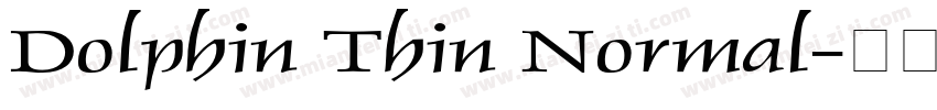 Dolphin Thin Normal字体转换